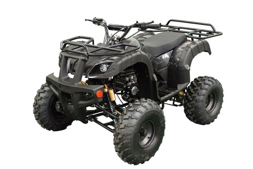 Taotao atv plastic - taotao, body